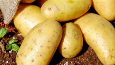 اضرار الافراط في أكل البطاطس.. احذر السمنة وارتفاع السكر