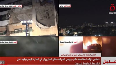  متحدثة باسم قوة الأمم المتحدة المؤقتة في لبنان تناشد جميع الأطراف بـوقف إطلاق النار (فيديو)