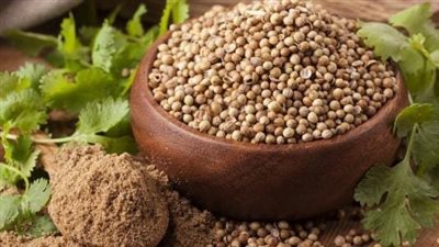 فوائد بذور الكزبرة.. منجم متكامل لصحتك 