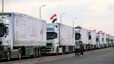 برلماني: الجانب المصري أسهم بأكثر من 80% من جملة المساعدات الإنسانية التي دخلت لغزة