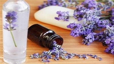 فوائد اللافندر للبنات.. يعزز صحة البشرة