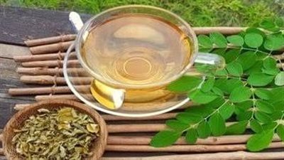 فوائد المورينجا للتخسيس.. تحرق السعرات الحرارية