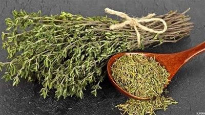 فوائد الزعتر.. نبات متعدد الخواص