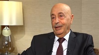 البرلمان الليبي يعلن دعمه لدعوى جنوب إفريقيا ضد إسرائيل