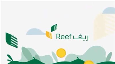  طريقة تقديم النساء على برنامج دعم ريف.. والشروط 