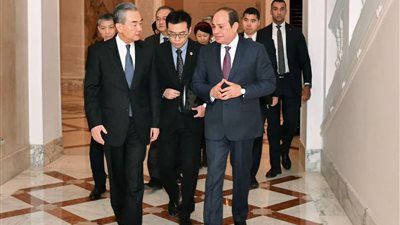 توافق مصري صيني على رفض التهجير القسري للفلسطينيين 