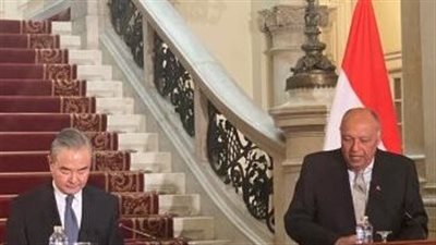 وزيرا خارجية مصر والصين يؤكدان مواصلة التنسيق لإيجاد حل دائم للقضية الفلسطينية