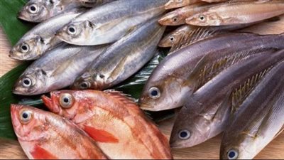 أسعار السمك والجمبري اليوم 16_1_ 2024 