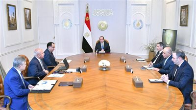 السيسي يناقش مع رئيس شركة الخطوط الملاحية الفرنسية سبل التعاون