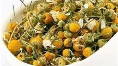 فوائد البابونج لعلاج الكحة والسعال..يخفف بحة الصوت