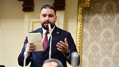 برلماني يقترح إطلاق مشروع قومى للوقود الحيوي