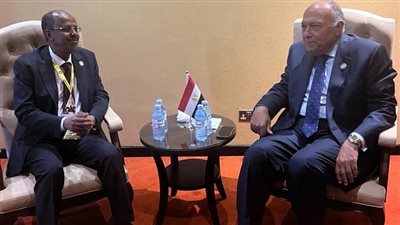 وزير الخارجية يلتقي وزير خارجية جيبوتي