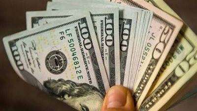 سعر الدولار اليوم 20 يناير 2024 في السوق السوداء بمصر 