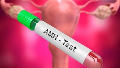 تحليل مخزون المبيض AMH.. متى يتم إجرائه وما هي النسب الطبيعية له؟