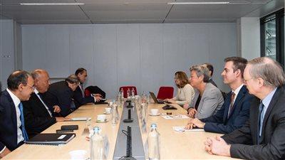 وزير الخارجية يشدد على موقف مصر الرافض للهجرة غير الشرعية