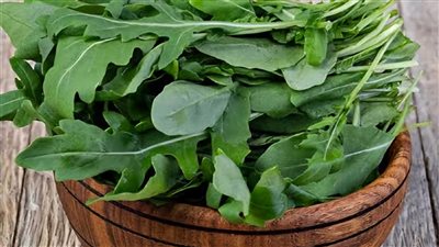 فوائد الجرجير للجسم.. طعام الفقراء والأغنياء على السواء