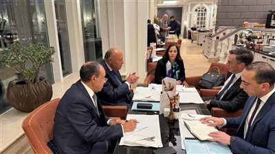 وزير الخارجية يلتقي برئيس لجنة العلاقات الخارجية بالبرلمان الأوروبي