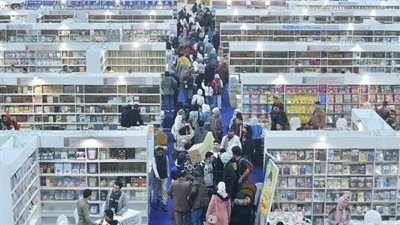 كل ما تريد معرفته حول 