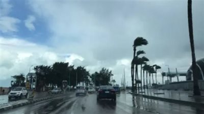 هيئة الأرصاد الجوية تكشف حالة الطقس اليوم السبت 27 -1 - 2024