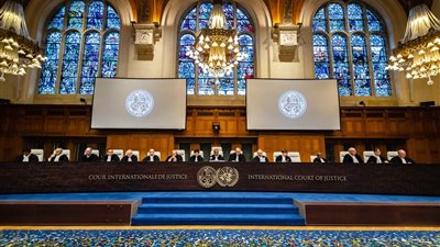 برلماني: مذكرة مصر للعدل الدولية جاءت لكشف ممارسات الاحتلال في الأراضي الفلسطينية