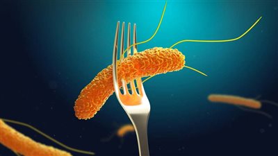 أعراض التسمم الغذائي.. متى تظهر وكيف يمكن السيطرة عليها في البيت؟