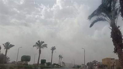 حالة الطقس اليوم 24_1_ 2024 على محافظات ومدن مصر