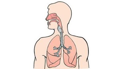 تعرف على علاج التهاب الجهاز التنفسي السفلي