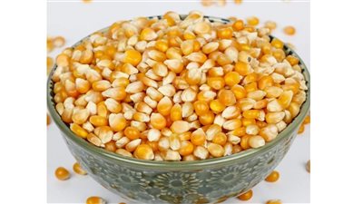 فوائد الذرة.. تمنحك الشعور بالشبع سريعا 