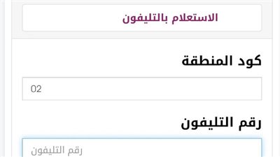 طرق سداد فاتورة التليفون الأرضي لشهر فبراير 2024