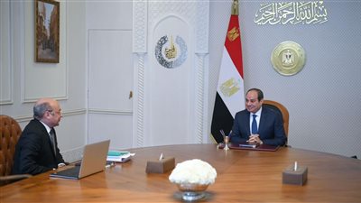 الرئيس السيسي يجتمع مع وزير العدل ويوجه بإنجاز قوانين الأسرة