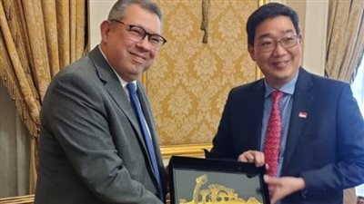 انعقاد الجولة الخامسة من المشاورات السياسية بين مصر وسنغافورة 