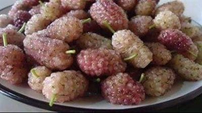 فوائد التوت البري يوميا.. يخفض ضغط الدم ويقلل الإصابة بتسوس الأسنان