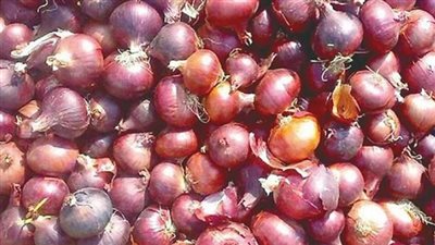  أسعار البصل في السوق السعودي