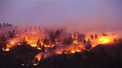  مصرع 112 شخصًا وفقدان المئات في حرائق تشيلي