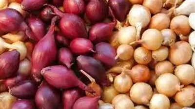 بعد الحديث عن ارتفاع أسعار البصل.. صحيفة سعودية: 500 % ارتفاع.. وهذه أسباب الأزمة