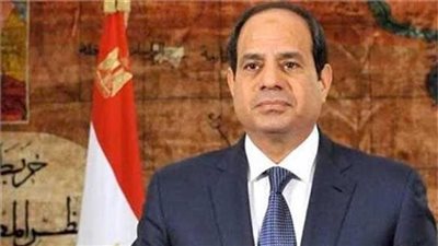 برلماني مصري: نقف صفًا واحدًا خلف القيادة السياسية دفاعًا عن أمن مصر القومي