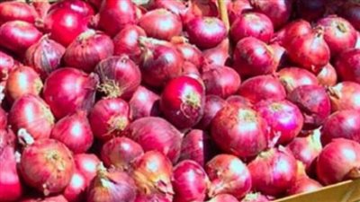 وزير الزراعة يعلن استقبال أسواق المملكة العربية السعودية للبصل المصري