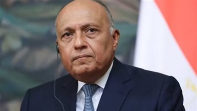 وزير الخارجية المصري يلتقي وفدًا من حركة فتح الفلسطينية