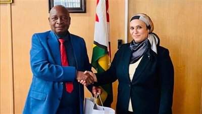 سفيرة مصر في هراري تلتقي مع وزير الطاقة الزيمبابوي