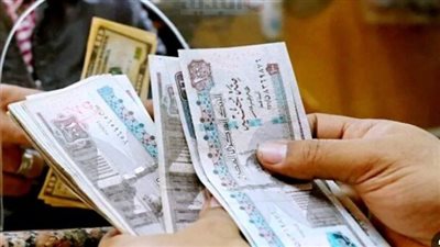 جدول المرتبات 2024 لكافة الدرجات الوظيفية 