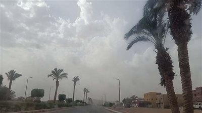 وفق هيئة الأرصاد الجوية.. حالة الطقس اليوم الأحد 11_2_ 2024 في مصر 