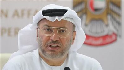 قرقاش: الفزعة الإنسانية الإماراتية مع أهل غزة ترفع الرأس 