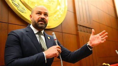 وكيل شباب الشيوخ: نقف صفا واحدا خلف القيادة السياسية.. وأمننا القومي ولن نتهاون به