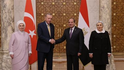 أستاذ علوم سياسية: زيارة الرئيس أردوغان ستفتح آفاق جديدة لحل العديد من الملفات 