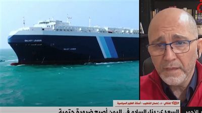 أستاذ علوم سياسية: تعطيل الملاحة البحرية لا يساعد قضية فلسطين إطلاقًا (فيديو)