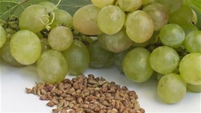 فوائد بذور العنب.. مضغها يسهم في فقدان الوزن