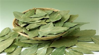 فوائد ورق الجوافة