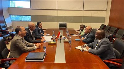 نشاط مصري مكثف على هامش أعمال المجلس التنفيذي للاتحاد الأفريقي