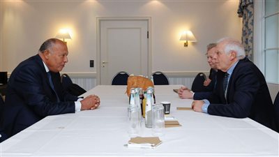 شكري وبوريل يؤكدان حرصهما على تحقيق انفراجة في الوضع المتأزم في غزة