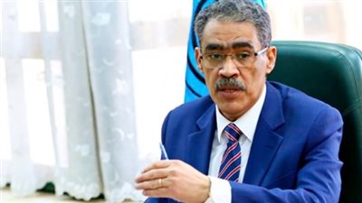 الإعلام الدولى: انتخابات مجلس النواب تجرى وسط شعور وطنى جارف بالفخر